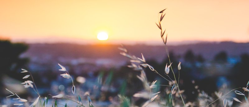 7b6a8e5f-4c65-ac1e-a1e8-3099881f137d (1)