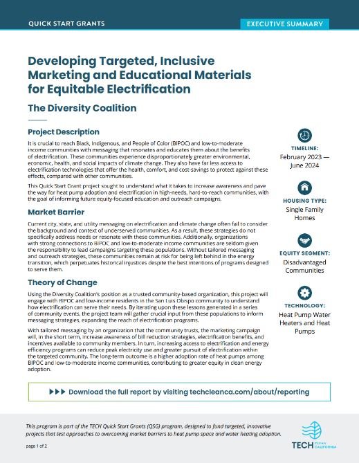 diversity coalition exec