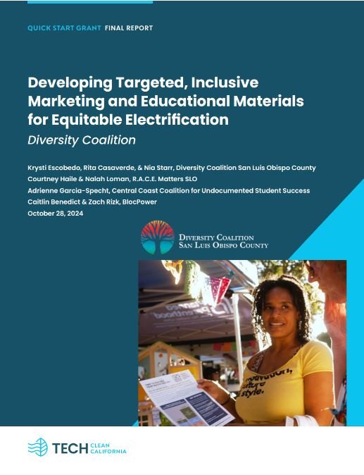 diversity coalition final report